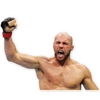 🐼 fighter, mma, victory, athlete, sports telegram sticker