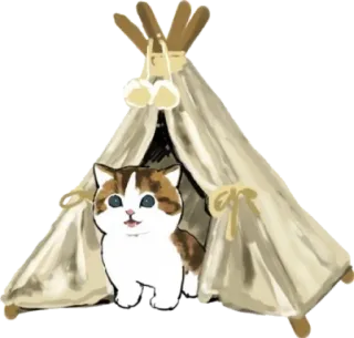 ⛺️ gato, tenda, fofo, animal, animal de estimação telegram sticker