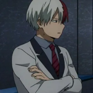 ❄️ Shoto Todoroki My Hero Academia Anime, Manga, Shoto Todoroki, My Hero Academia telegram sticker