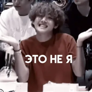 😽 ЭТО НЕ Я russischer Text, Koreanisch, Person, Meme whatsapp sticker