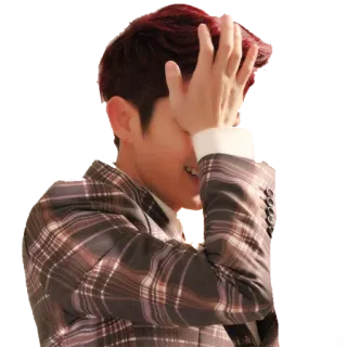 🤦‍♂️ telegram sticker