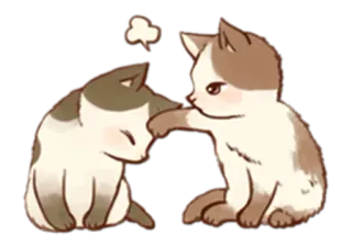 😤 chats, chaton, mignon, animaux, autocollant, joueur, animal de compagnie telegram sticker