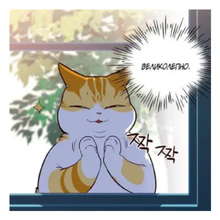 ✨ ВЕЛИКОЛЕПНО. 
짝짝 Katze, Cartoon, niedlich, Tier, Russisch, Manhwa telegram sticker