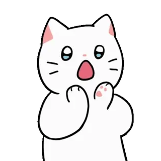 💬 gato, sorprendido, lindo, dibujos animados, animal, kawaii, pegatina whatsapp sticker