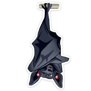 🐭 летучая мышь, висящий, животное, наклейка, летающий whatsapp sticker