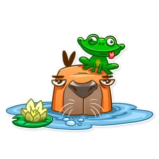 😑 คาปิบารา, กบ, สัตว์, น่ารัก, น้ำ, การ์ตูน telegram sticker