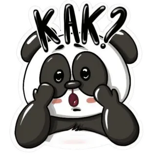 🐱 КАК? panda, pregunta, dedos del medio, gesto ofensivo, dibujo animado, pegatina, sorpresa whatsapp sticker
