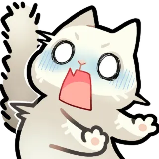 😱 White cat telegram sticker