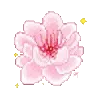 🌸