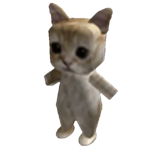🐱