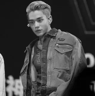 🔗 potret, hitam putih, pria, anting, jaket, model pria telegram sticker