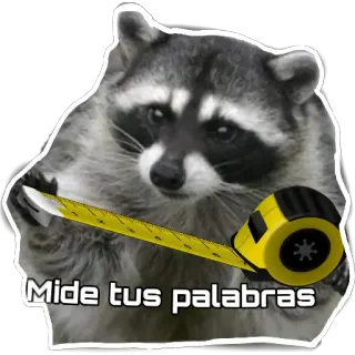 Habēmus más Raccoon telegram stickers