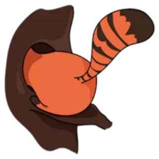 😶 お尻, 尻尾, オレンジ, 茶色, 漫画, 動物 telegram sticker