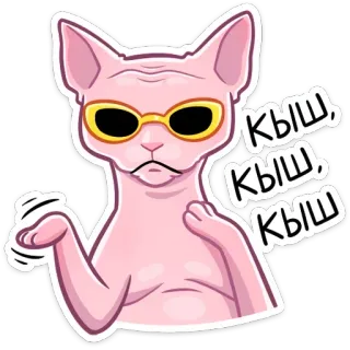 😎 Кыш, Кыш, Кыш Katze, Sphynx, Sonnenbrille, Russisch, abweisend, wütend telegram sticker