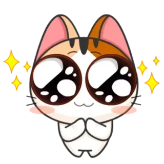 🥺 猫, 可愛い, かわいい, 動物, キラキラ telegram sticker