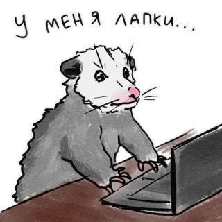 😥 У МЕНЯ ЛАПКИ... Opossum, Binatang, Laptop, Lucu, Komputer, Imut telegram sticker