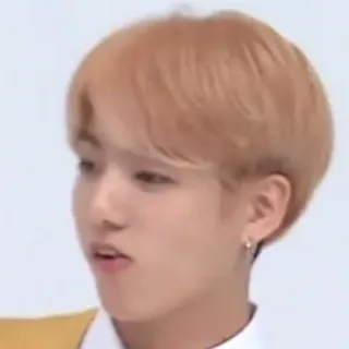 😏 Jungkook persona, kpop, cantante, jungkook, retrato whatsapp sticker