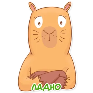 😐 ЛАДНО capybara, hewan, stiker, kartun, oke, rusia telegram sticker