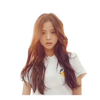 kpopfan whatsapp stickers