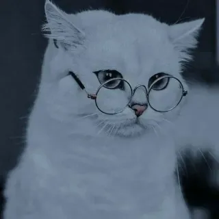 🌸 猫, メガネ, ペット, 動物, かわいい telegram sticker