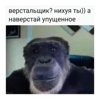 🫥 верстальщик? нихуя ты)) а наверстай упущенное gorilla, meme, animal, typing, funny telegram sticker