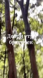 😘 Добри Утра браточек telegram sticker
