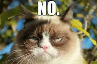 🙅‍♂ Grumpy Cat NO. 猫, 不高兴, 表情包, 搞笑, 不 whatsapp sticker