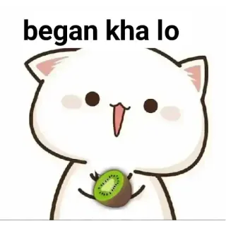 😋 began kha lo gato, kiwi, dibujos animados, lindo whatsapp sticker