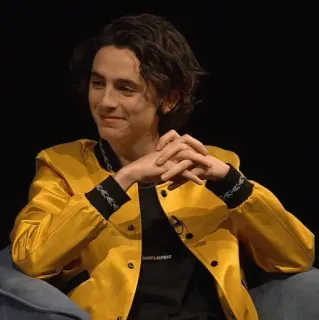 📯 Timothée Chalamet acteur, homme, veste, célébrité, portrait telegram sticker