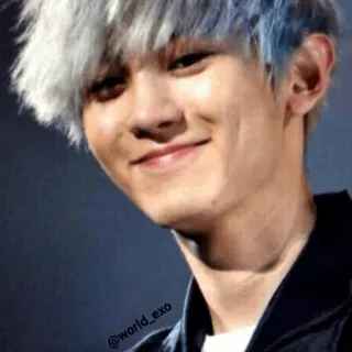😊 @world_exo kpop, idol, exo, chanteur, musique, asiatique telegram sticker