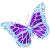 🦋