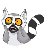 😳 lêmure, chocado, surpresa, animal, desenho animado, expressão, fofo, preocupado telegram sticker