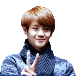✌️ person, peace sign, young, smiling, scarf, kpop, asian telegram sticker