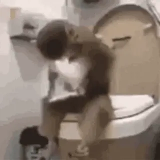 🚽 Affe, Toilette, Tier, Primaten whatsapp sticker