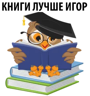 😜 КНИГИ ЛУЧШЕ ИГОР coruja, livros, leitura, educação, graduado, alfabetização, conhecimento whatsapp sticker