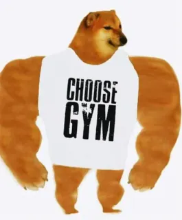 Doge / @dogii_memes whatsapp stickers