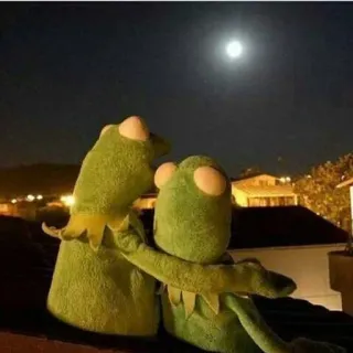 🌟 Kermit Kermit der Frosch, Mond, Nacht, Puppe, süß, Liebe, Muppets whatsapp sticker