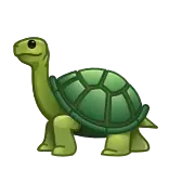 🐢