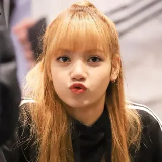 👛 Lisa kpop, zanger, Lisa, Blackpink, beroemdheid, portret whatsapp sticker
