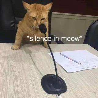 😶 *silence in meow* cat, microphone, silence, meme, conference telegram sticker