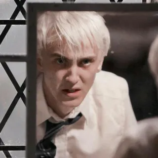🐍 Draco Malfoy Harry Potter Draco Malfoy, Harry Potter, Tom Felton, mago, magia telegram sticker