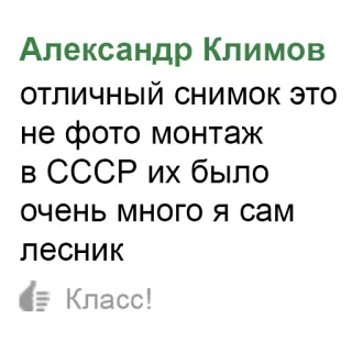 👍 Александр Климов
отличный снимок это
не фото монтаж
в СССР их было
очень много я сам
лесник
- Класс! telegram sticker