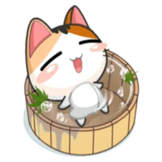 💦 gato, fofo, animal, desenho animado, banho, relaxante, kawaii telegram sticker