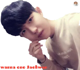 👌 wanna one Jaehwan whatsapp sticker