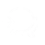 💬