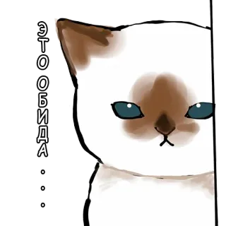 😑 ЭТО ОБИДА 猫, 小猫, 伤心, 可爱, 动物 whatsapp sticker