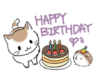 🎂 HAPPY BIRTHDAY gatto, compleanno, torta, felice, festa telegram sticker