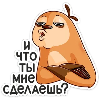 😐 И что ты мне сделаешь? kukang, kartun, lucu, pertanyaan, humor, binatang telegram sticker