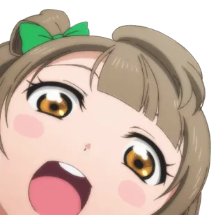 🐦 whatsapp sticker