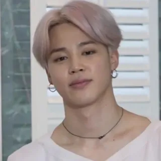 🦚 Jimin kpop, jimin, bts, idol, singer, performer telegram sticker